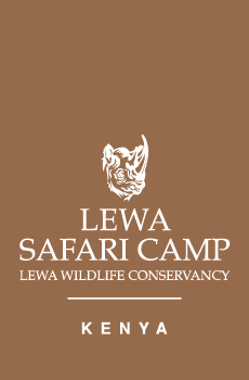 Lewa Safari Camp