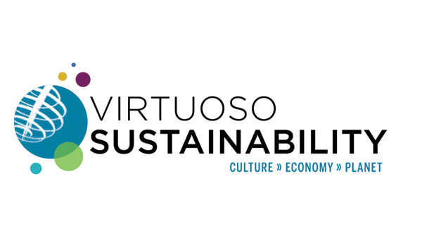 logo virtuso network