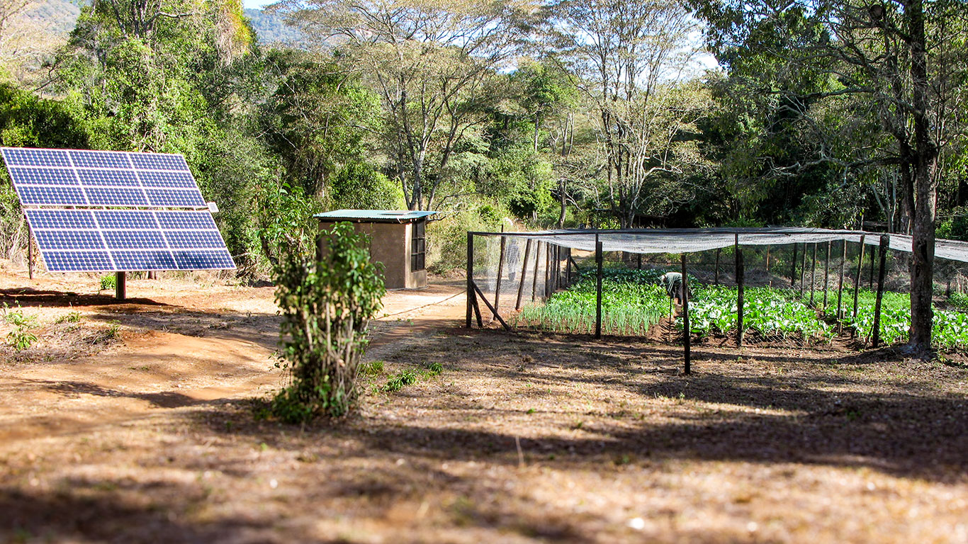 Elephant Pepper Camp vegetable garden solar panels