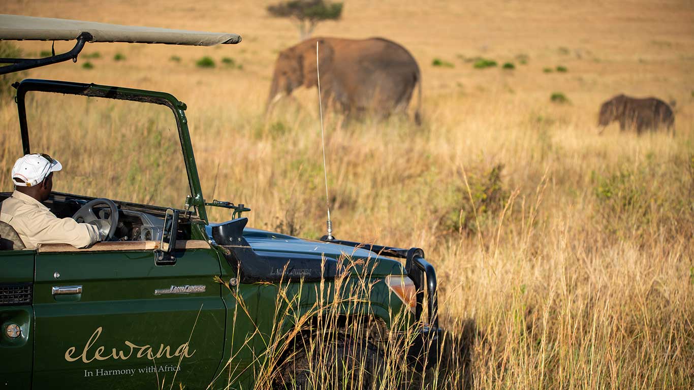 Elewana Sand River Game Drive
