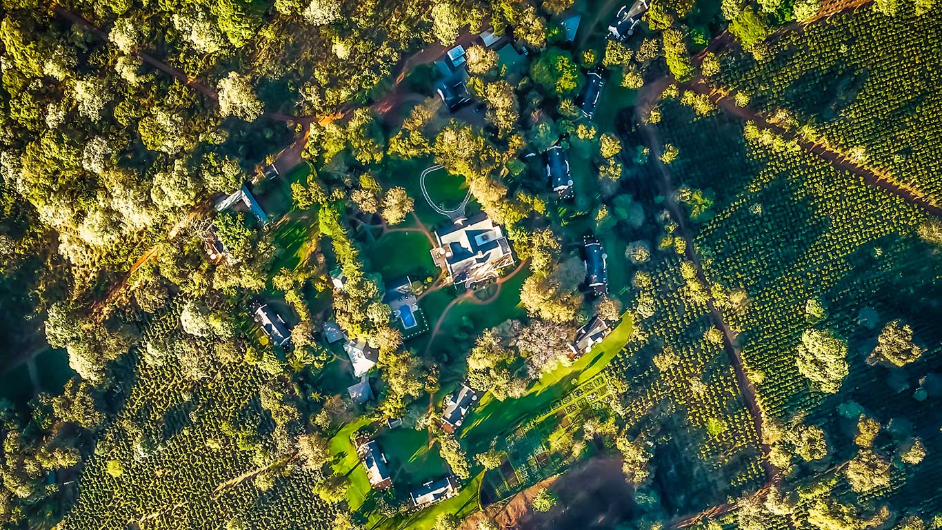 OverheadAerialTheManor