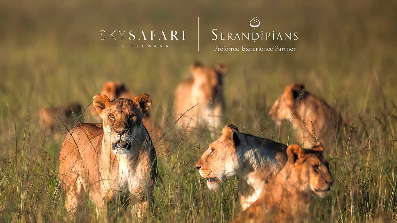 SkySafari Serandipians
