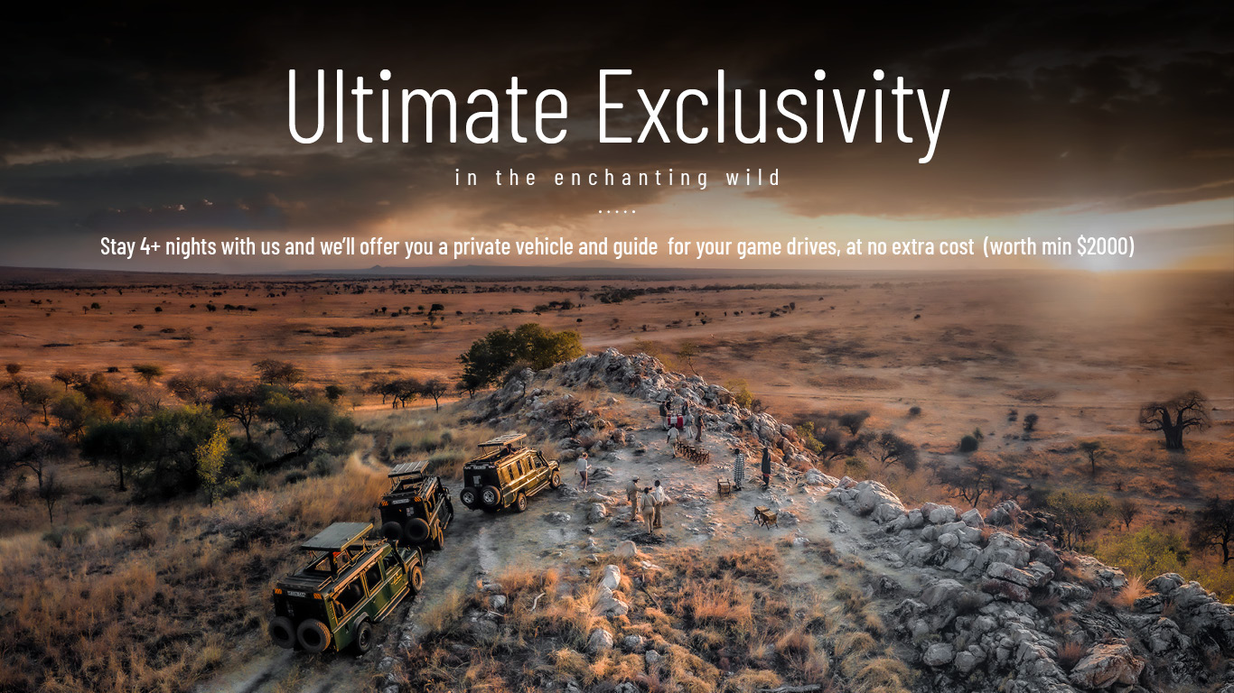 ultimate eclusivity 2023 newsletter