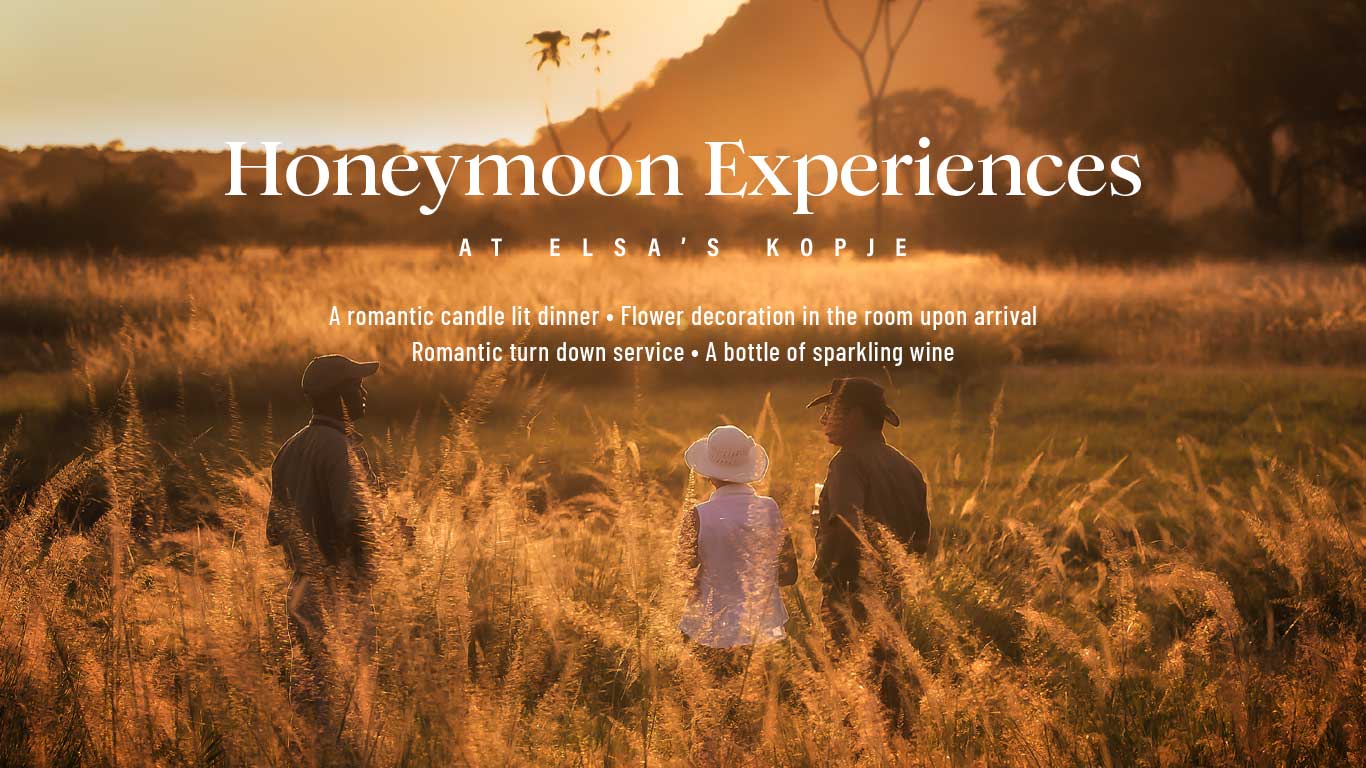 Honeymoon Experiences at Elsa’s Kopje Meru