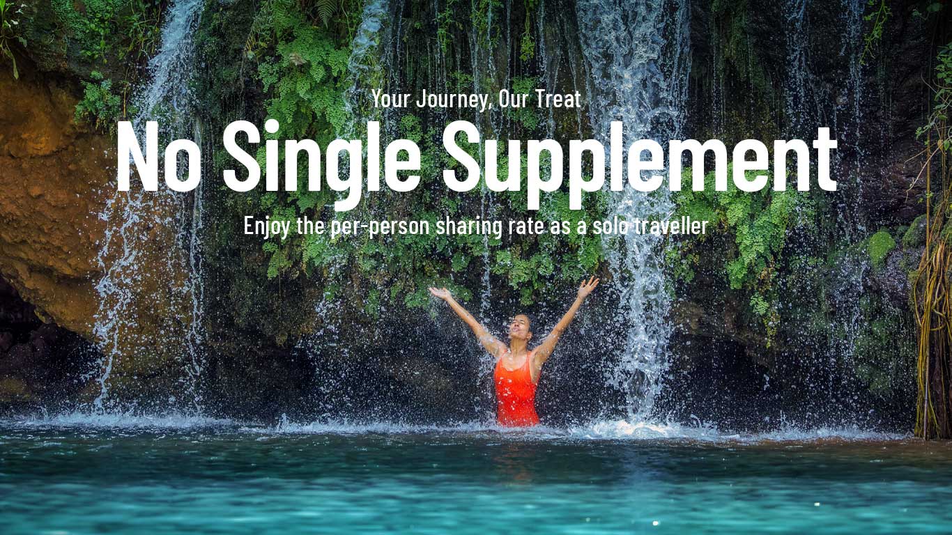 2026 No Single Supplement banner