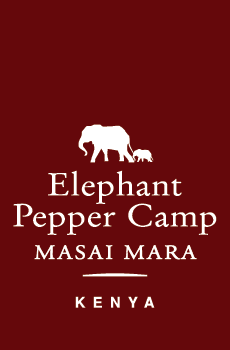 Elephant Pepper Camp