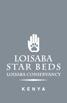 Loisaba Star Beds