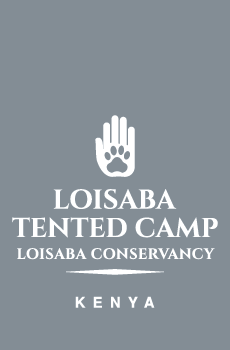 Loisaba Tented Camp