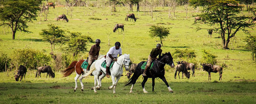 Horse-Safaris-at-Elephant-Pepper-Camp