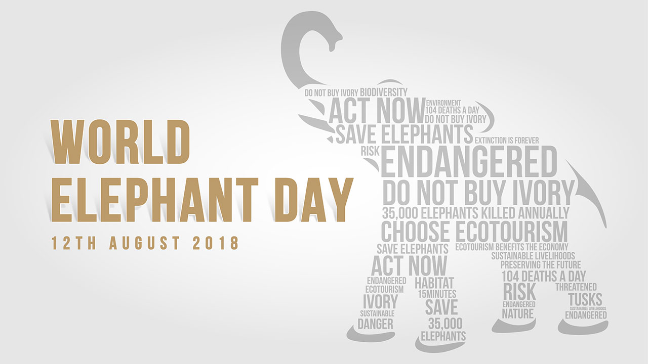 world-elephant-day-02