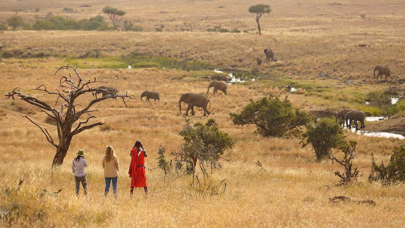 elewana kifaru house walking safari