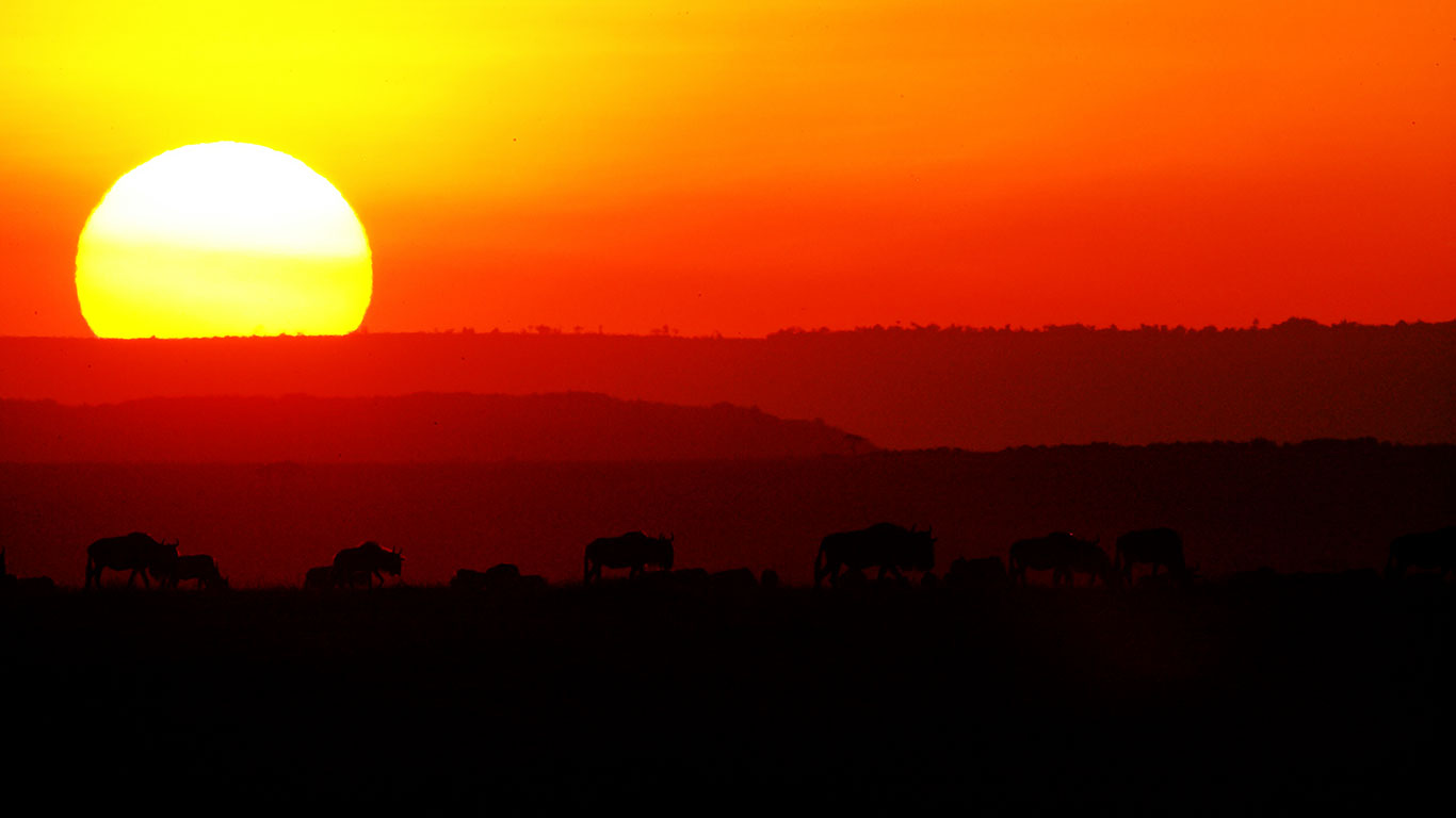 Elephant Pepper Camp landscape sunrise