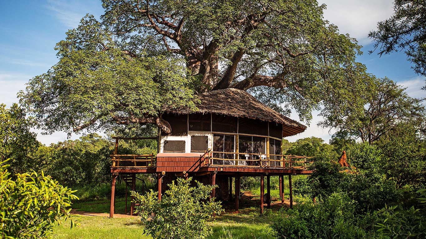 Tarangire Treetops Treehouse